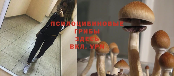 марки nbome Верхнеуральск