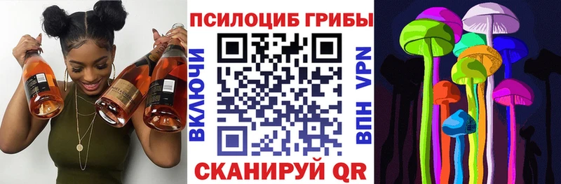 цены наркотик  Бийск  Галлюциногенные грибы мицелий 
