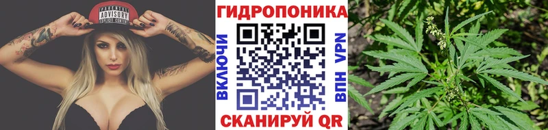 Бошки Шишки сатива  Бийск 
